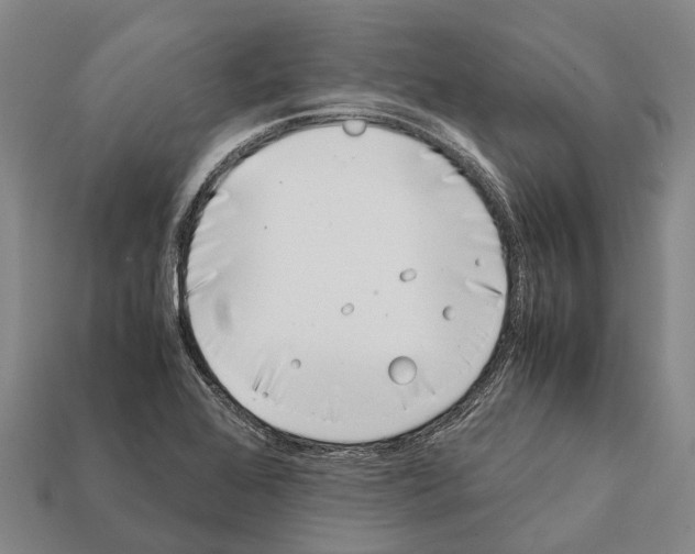 X0000111921368200909071208