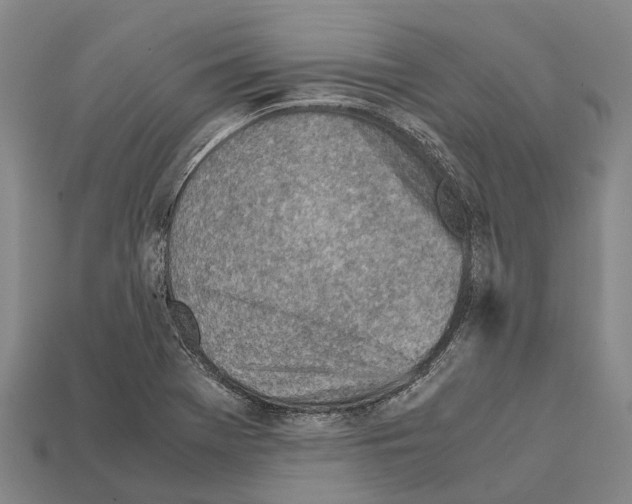 X0000111921369200909071208