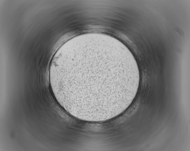 X0000111921370200909071208