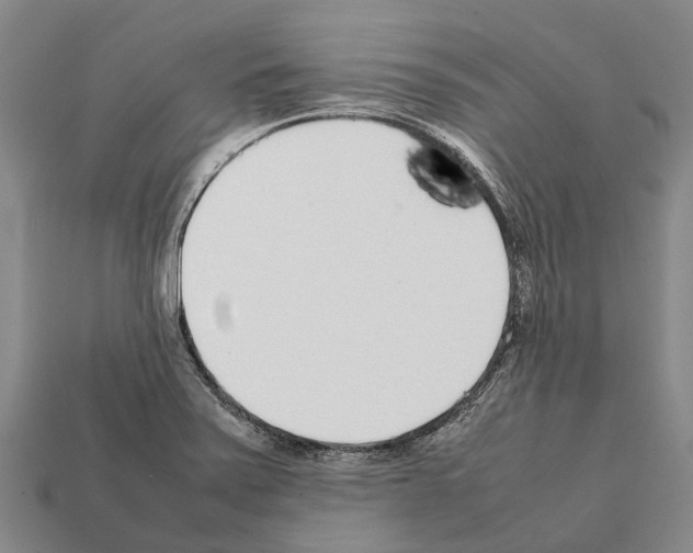 X0000111921371200909071208