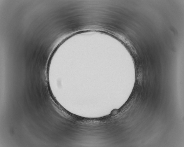 X0000111921372200909071208