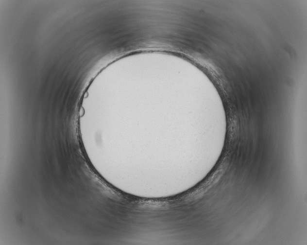 X0000111921374200909071208