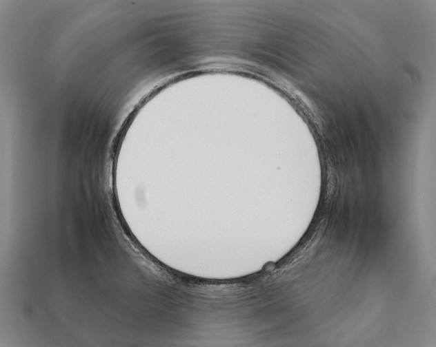 X0000111921376200909071208