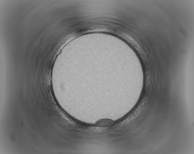 X0000111921377200909071208