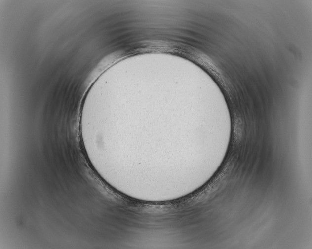 X0000111921378200909071208