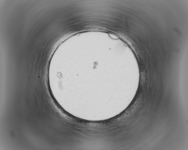 X0000111921379200909071208