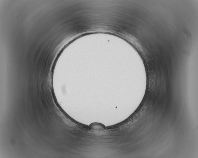 X0000111921380200909071208