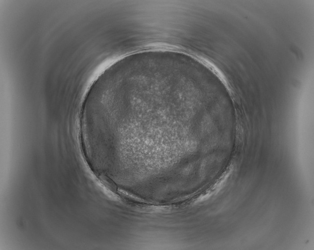 X0000111921381200909071208