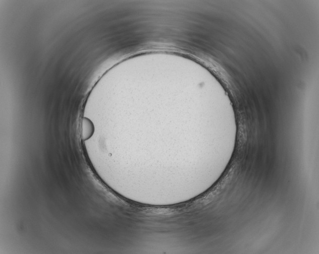 X0000111921382200909071208