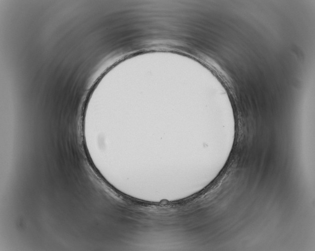 X0000111921384200909071208