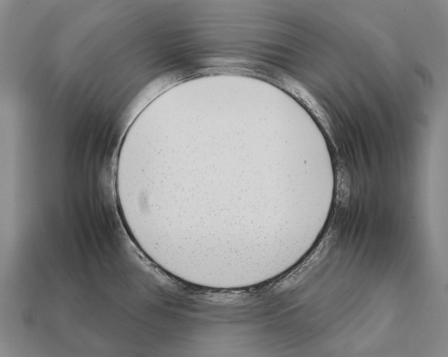 X0000111921386200909071208