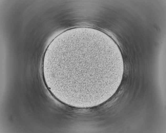 X0000111921387200909071208