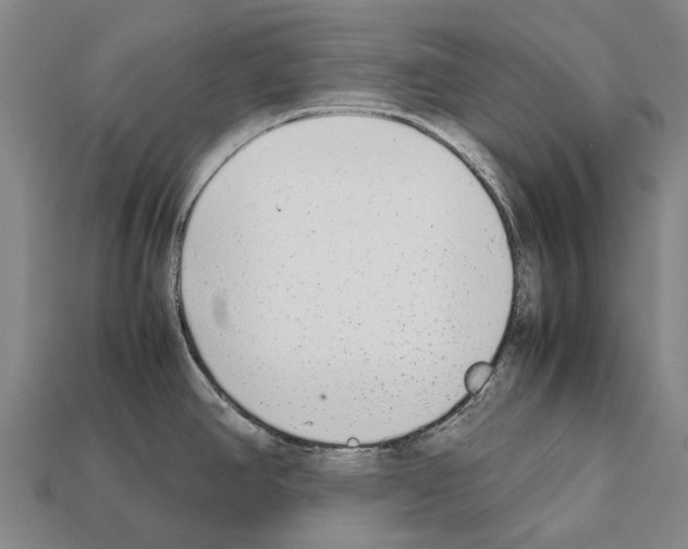 X0000111921390200909071208