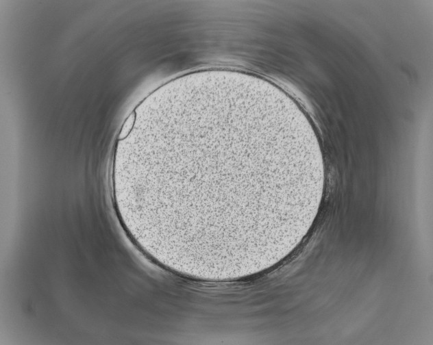 X0000111921391200909071208