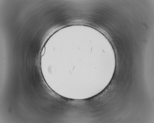 X0000111921392200909071208