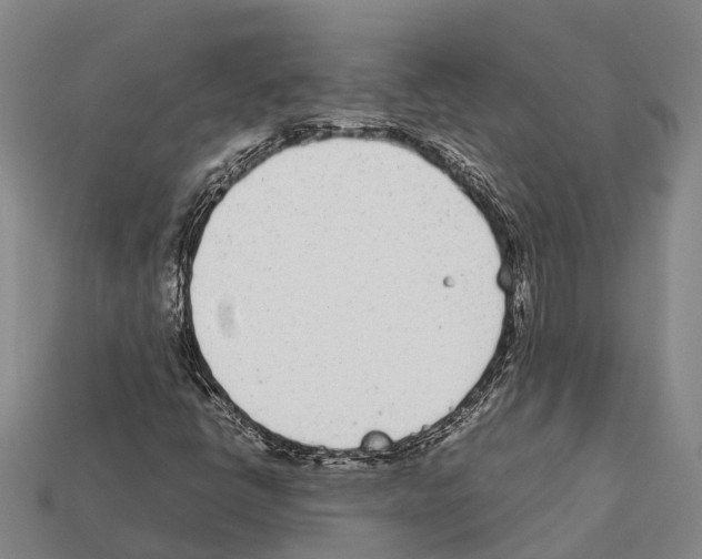 X0000111921398200909071208