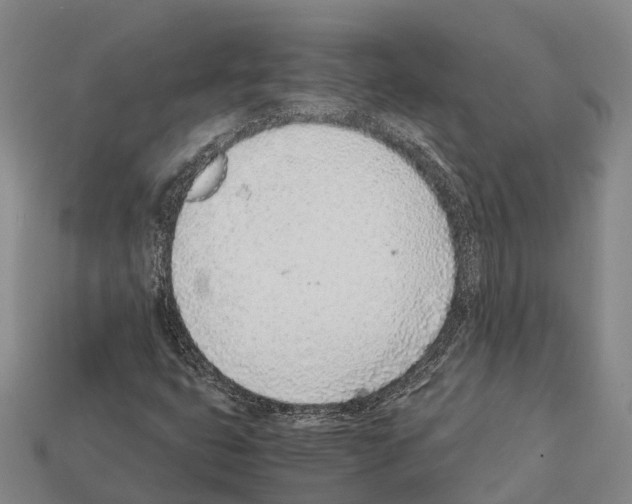 X0000111921399200909071208