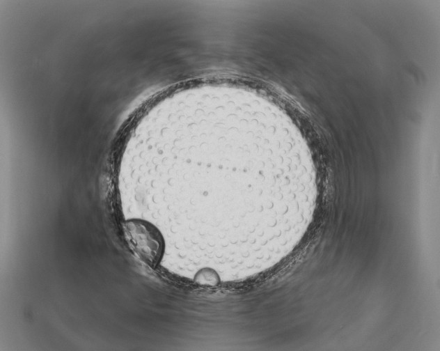 X0000111921400200909071208