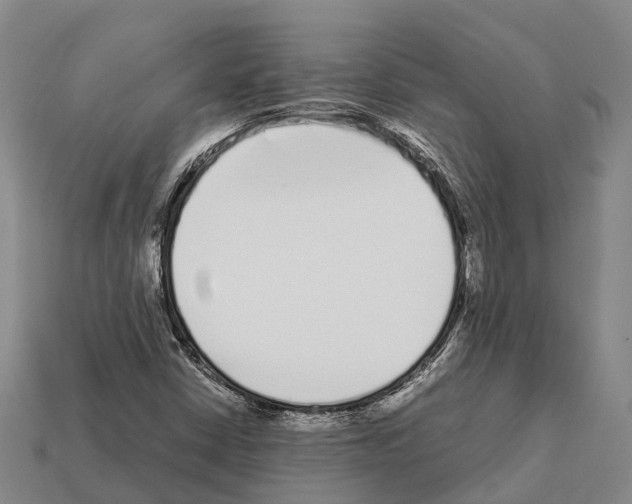 X0000111921402200909071208