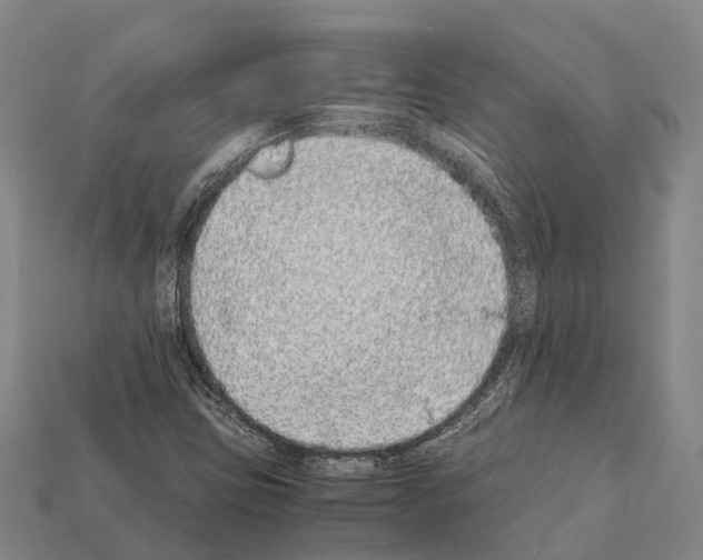 X0000111921403200909071208