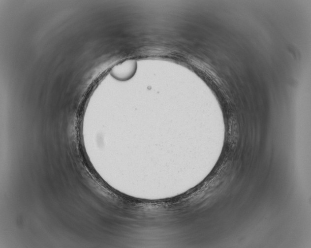 X0000111921404200909071208