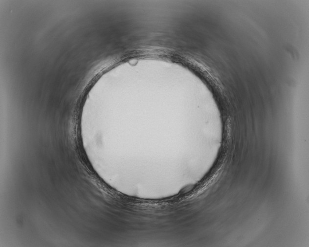 X0000111921405200909071208