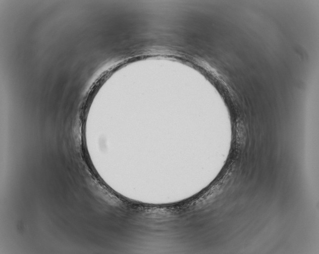 X0000111921408200909071208