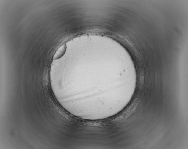 X0000111921409200909071208