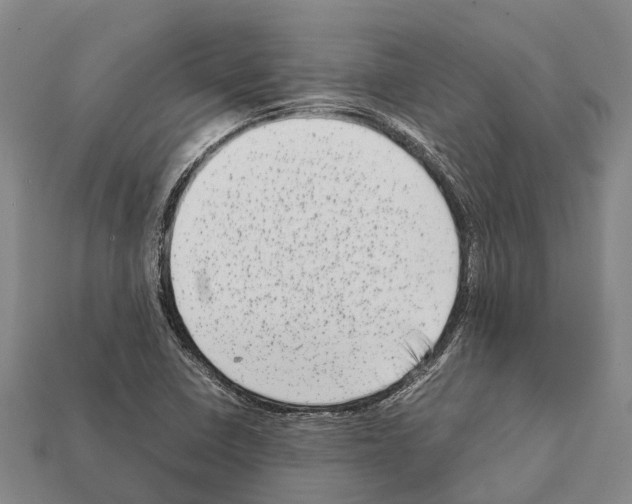 X0000111921410200909071208