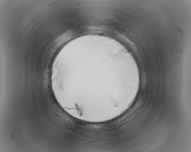 X0000111921411200909071208