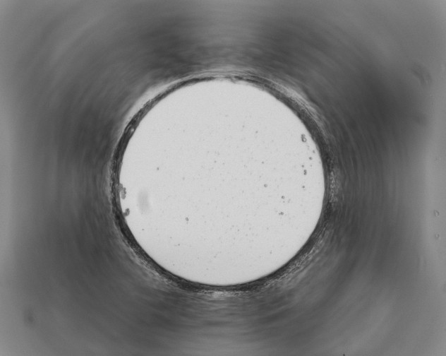 X0000111921412200909071208