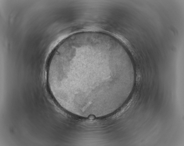 X0000111921414200909071208