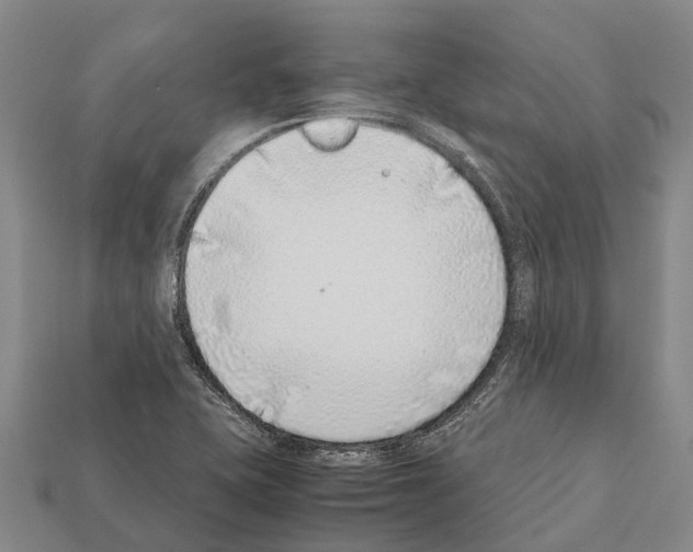 X0000111921415200909071208