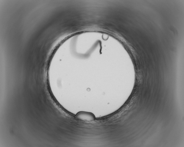 X0000111921416200909071208