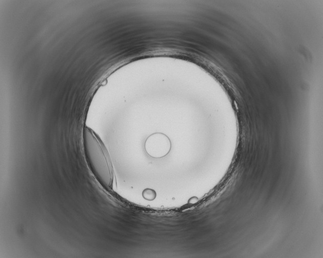 X0000111921417200909071208