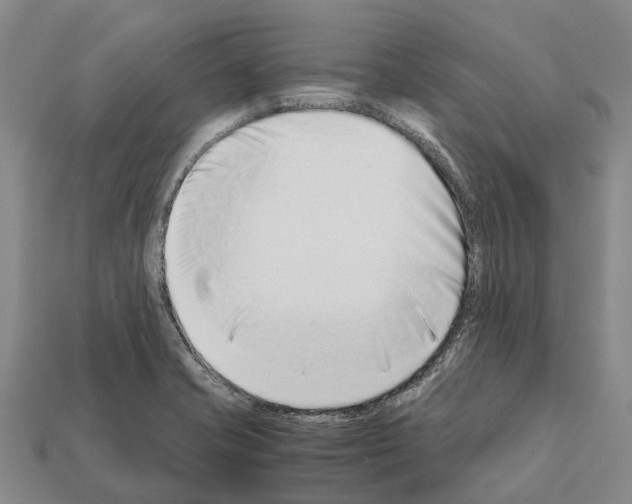 X0000111921421200909071208