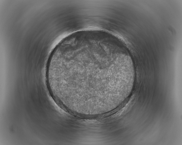 X0000111921422200909071208