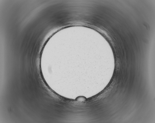 X0000111921424200909071208