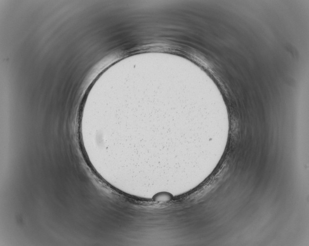 X0000111921426200909071208