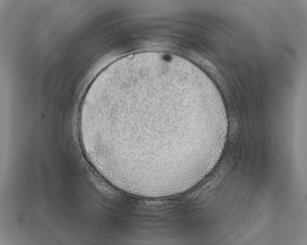 X0000111921427200909071208