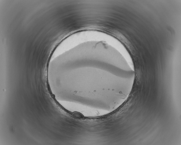 X0000111921428200909071208