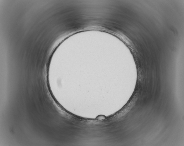 X0000111921430200909071208