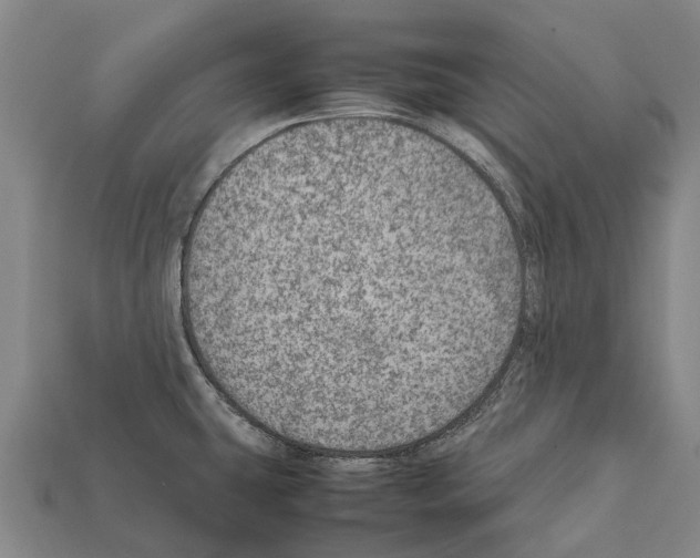 X0000111921431200909071208