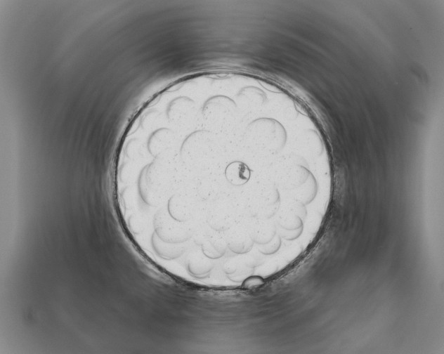 X0000111921432200909071208