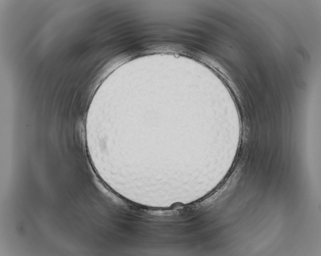 X0000111921433200909071208