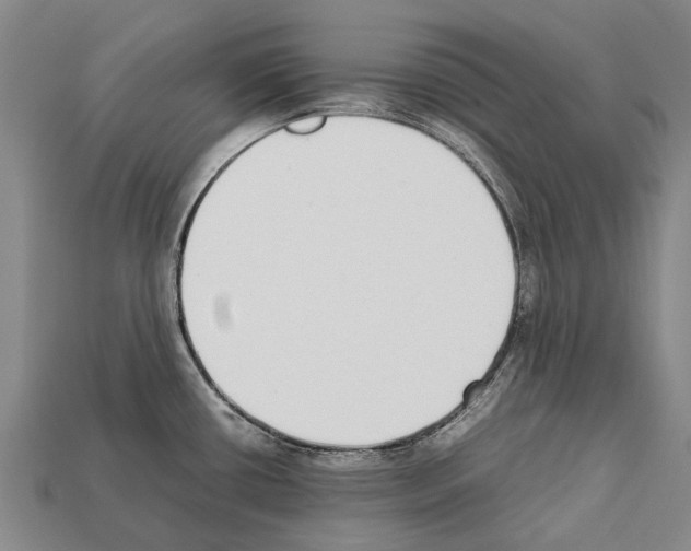 X0000111921434200909071208