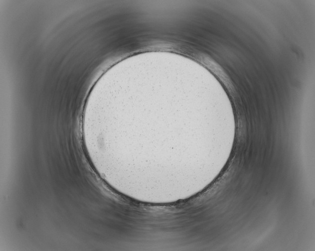 X0000111921436200909071208