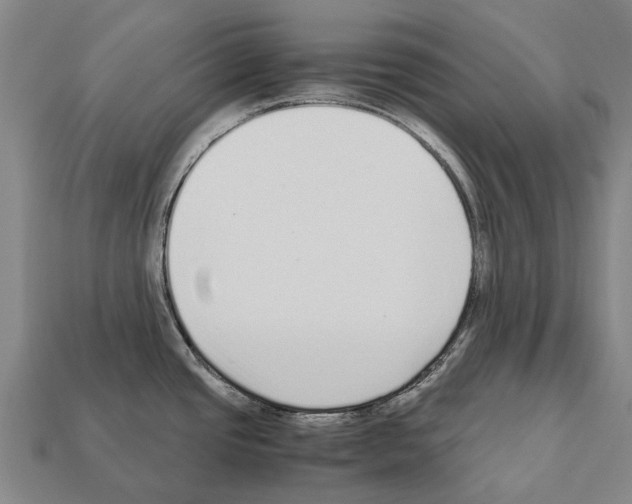 X0000111921437200909071208