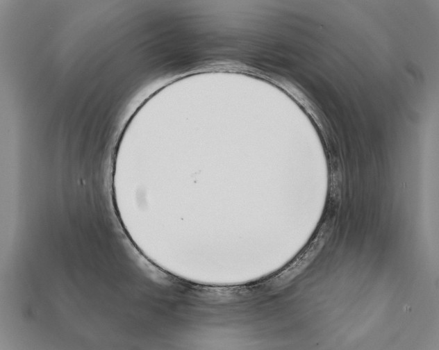 X0000111921438200909071208