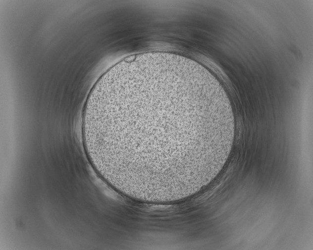 X0000111921439200909071208